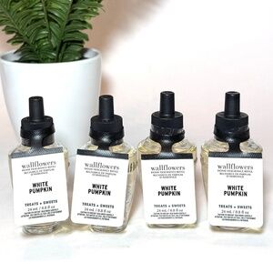 WHITE PUMPKIN Wallflowers